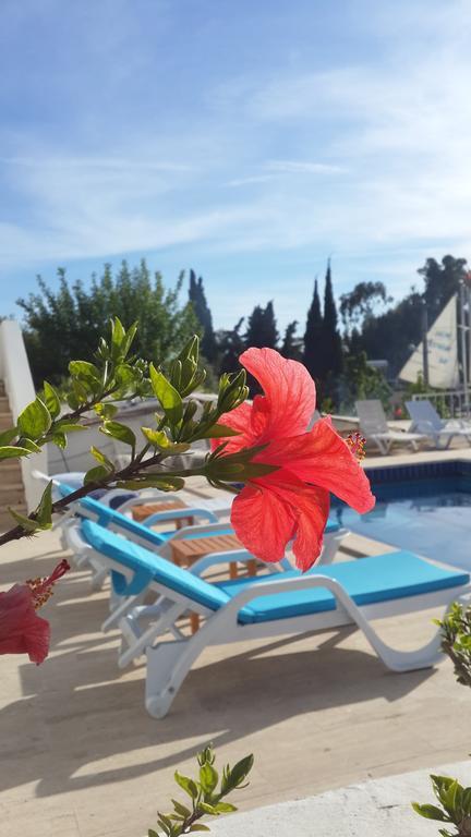 Sisyphos Hotel كاس المظهر الخارجي الصورة